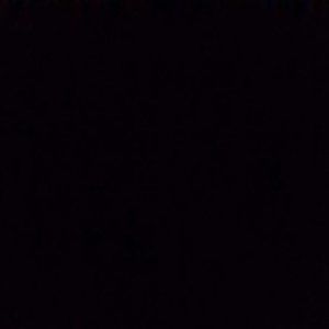 Meet your Posher, Roger